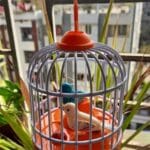 Talking Bird toy
